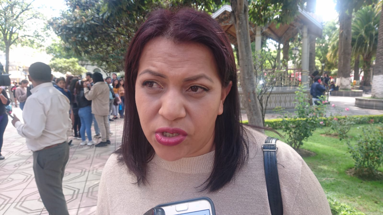 Senado retrasa decisión clave sobre ley de diferimiento de pago de deudas para próxima administración