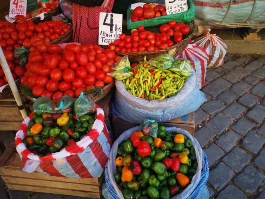 Alimentos escasos en centros de acogida por persistentes limitaciones presupuestarias