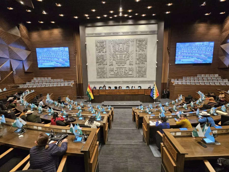 Diputados Aprueban Crédito Vial a Okinawa y Aceleran Legislación Clave