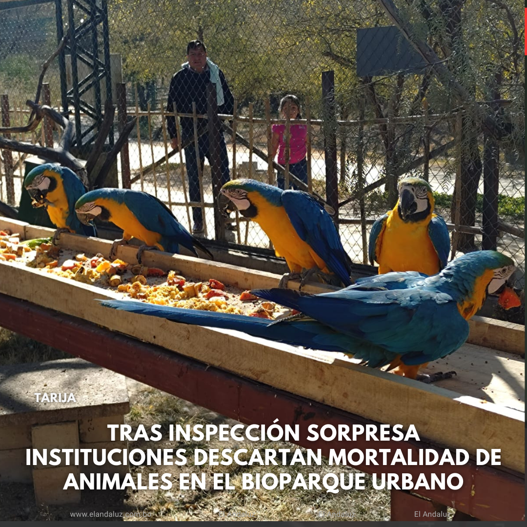 Bioparque Urbano descarta mortalidad animal tras inspecciones exhaustivas