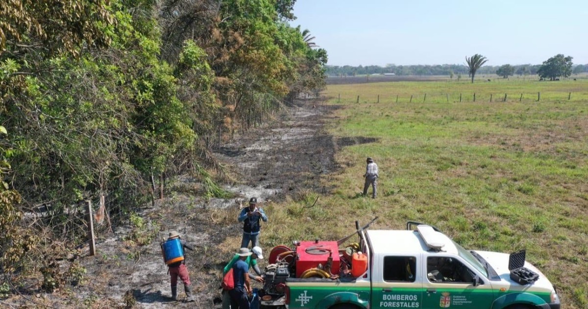 Bolivia enfrenta 111 procesos judiciales por devastadores incendios forestales en todo el país