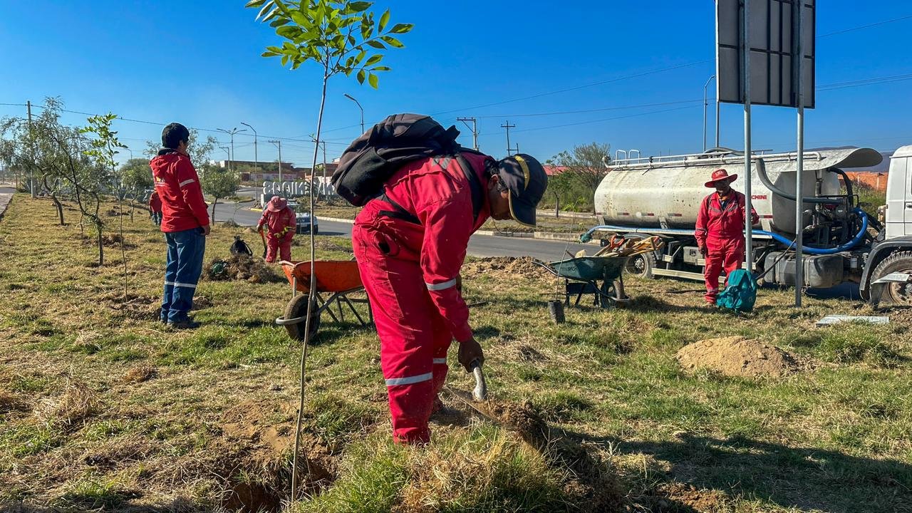 Alcaldía de Tarija impulsa reforestación histórica en la triple vía al Chaco mejorando el entorno y la biodiversidad