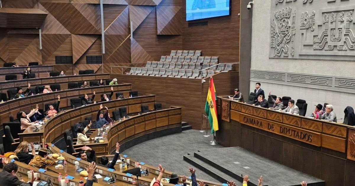 MAS pierde control legislativo debate PGE y futuro TSE genera incertidumbre política