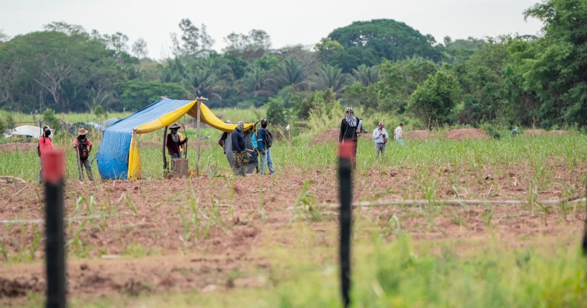 Tribunal Agroambiental exige al Gobierno acciones urgentes contra avasallamiento y pide sanciones ejemplares