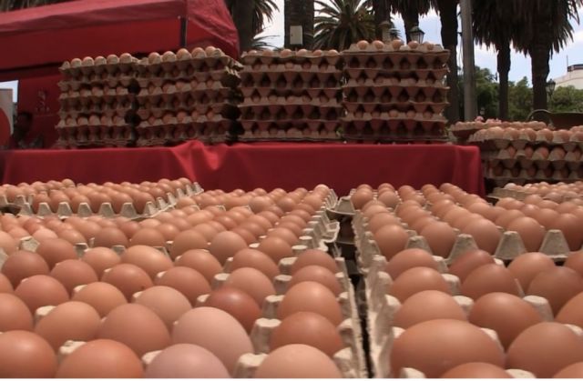 Avicultores de Tarija lanzan sello Hecho en Tarija para garantizar huevos locales y frenar importaciones de dudosa calidad