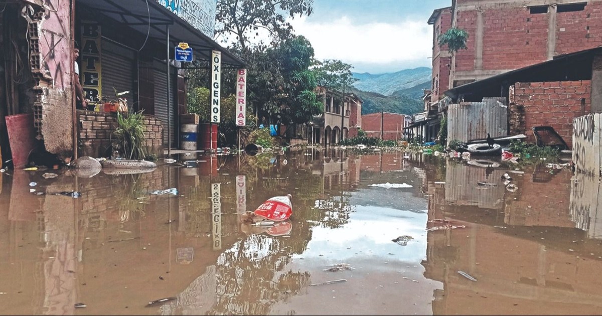 Minería Ilegal Devasta Tipuani Riesgo Inminente para el Norte Paceño