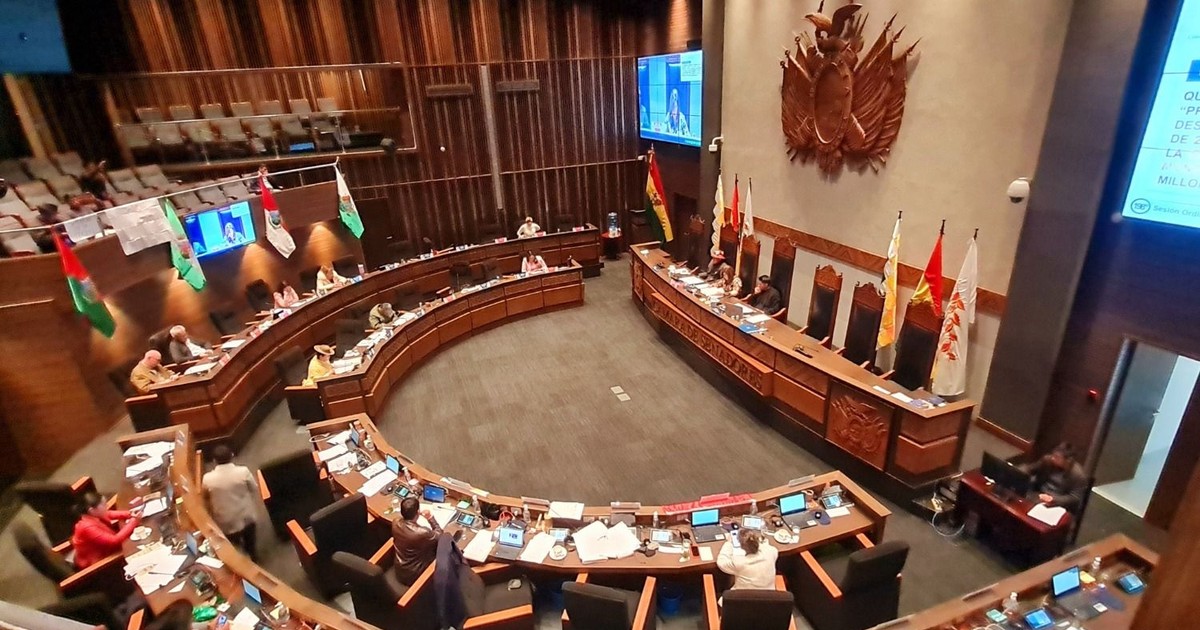 Senado a un paso de archivar proyecto que busca remover al Tribunal Supremo Electoral