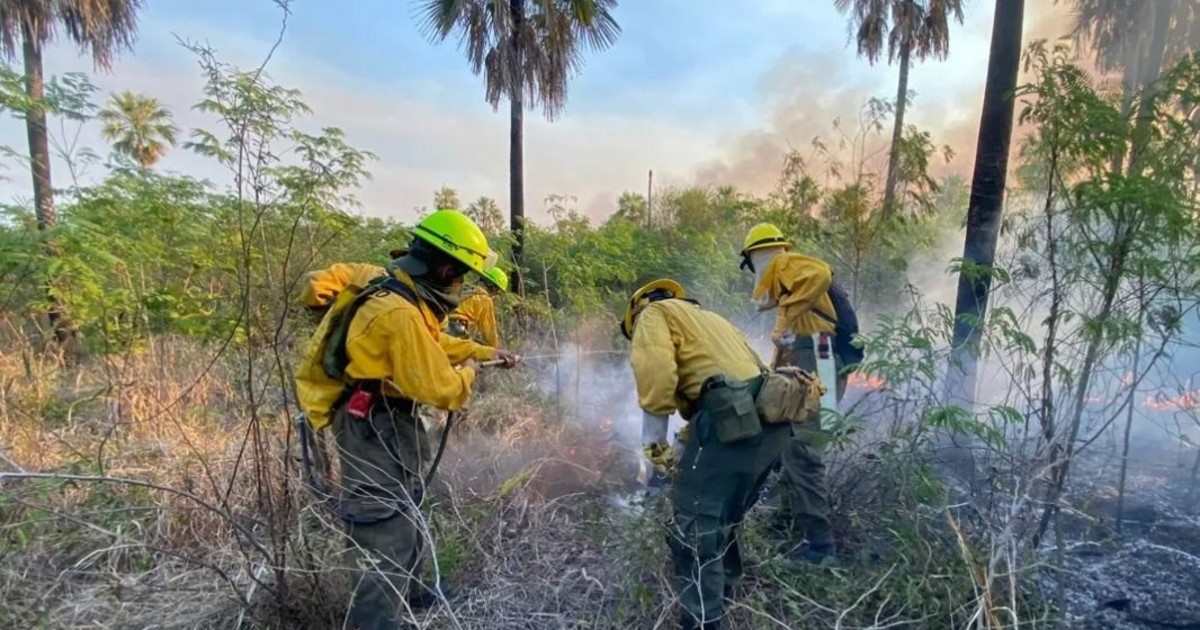 Incendio masivo en frontera Paraguay Bolivia destruye dieciséis mil hectáreas de vegetación nativa