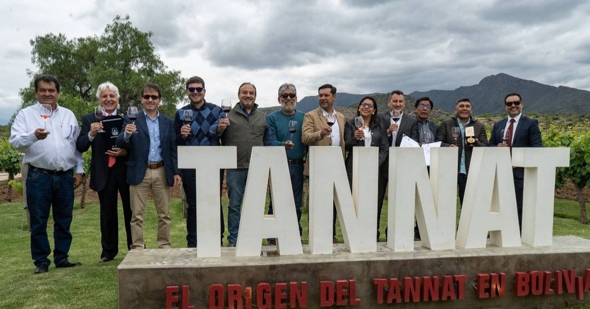 Alcaldía invita a Paz por Día del Tannat