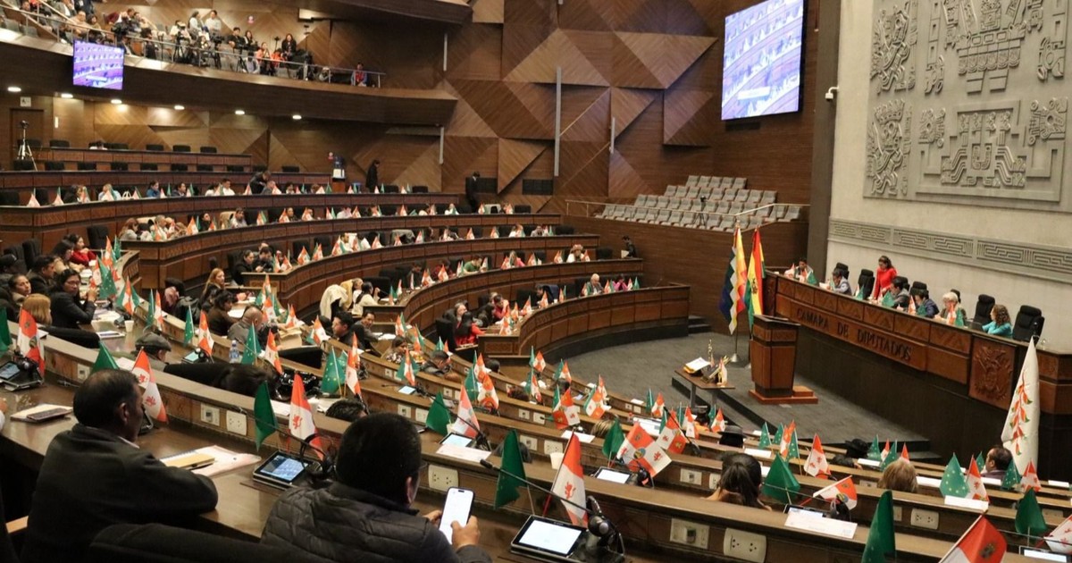 Diputados entrampan proyecto de ley de subnacionales por nuevas agrupaciones