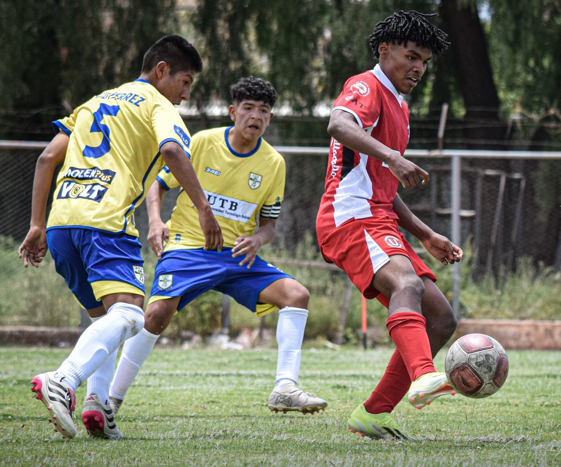 Real Tomayapo enfrenta a ABB este jueves en duelo clave de la Liga Profesional