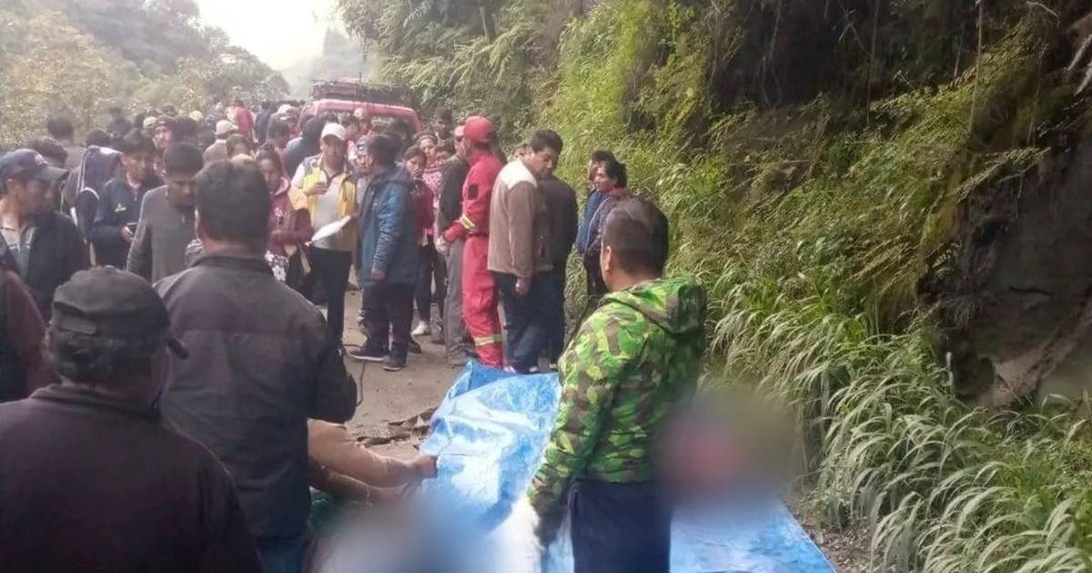 Ocho muertos y seis heridos confirma accidente de camión en Los Yungas