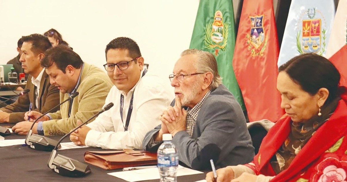 ALP habilita impugnaciones y impulsa fase decisiva para vocales del TSE en La Paz