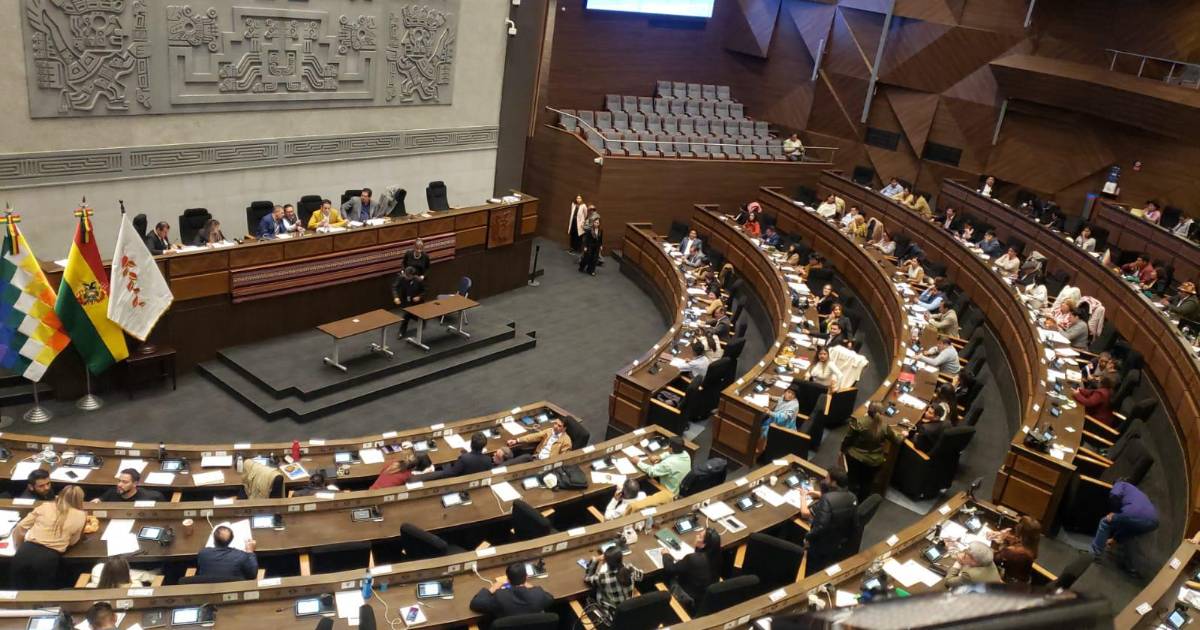 Asamblea Legislativa inicia votación para elegir vocales del TSE en Bolivia