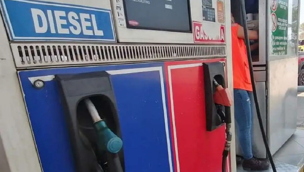 Estudio revela que combustible representa solo 30 por ciento de costos en transporte