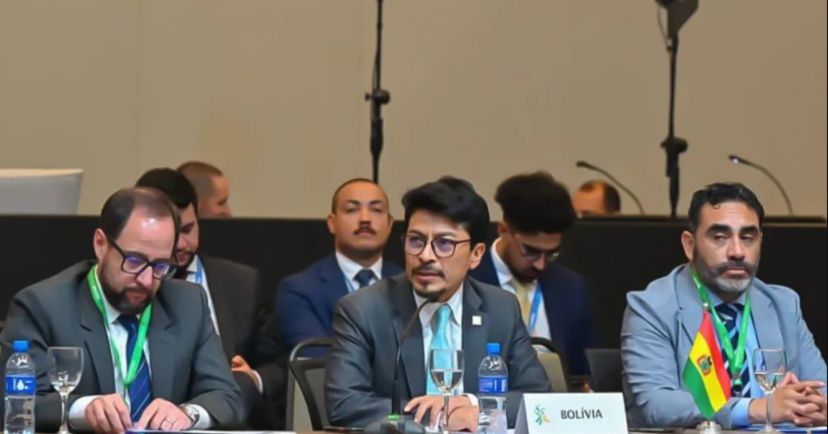 Bolivia se estrena como país socio del Mercosur y reafirma compromiso democrático