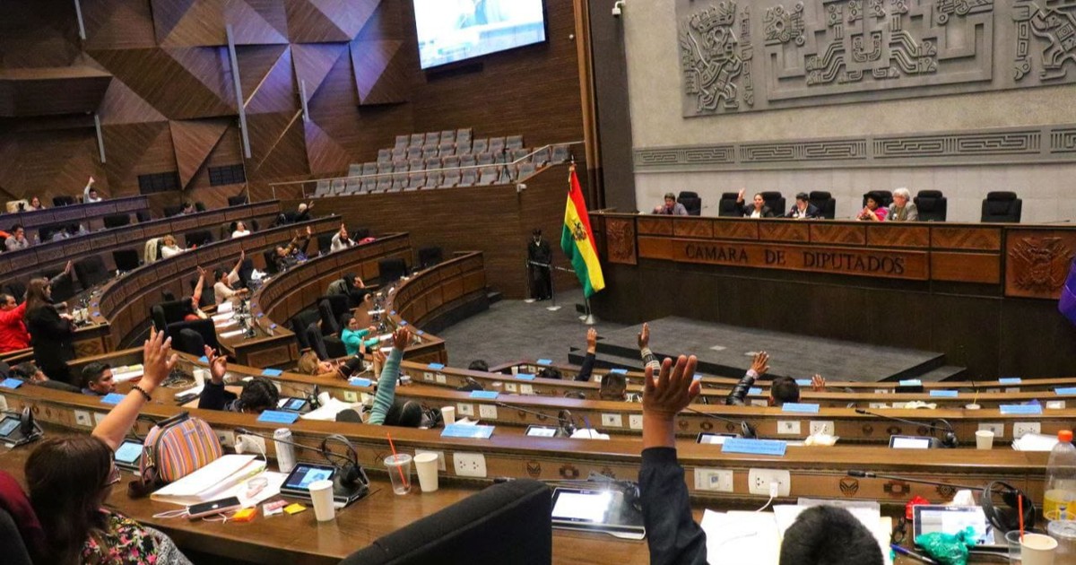 Diputados eligen hoy a 72 vocales para dirigir TED en elecciones subnacionales