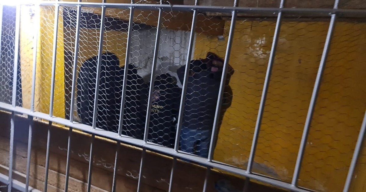 Autoridades investigan a cinco policías por cobros ilegales y contrabando en Pisiga y Chile
