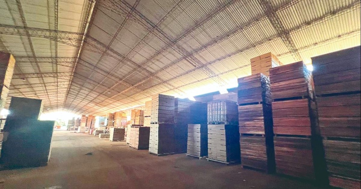 Felcn incauta maquinaria pesada inmuebles y dinero en operativo contra droga en madera