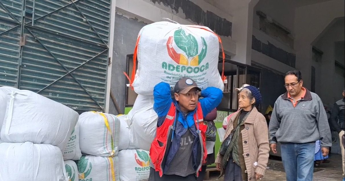 Santa Cruz revela consumo de 96 mil toneladas de coca en 11 años y moviliza 922 millones dólares