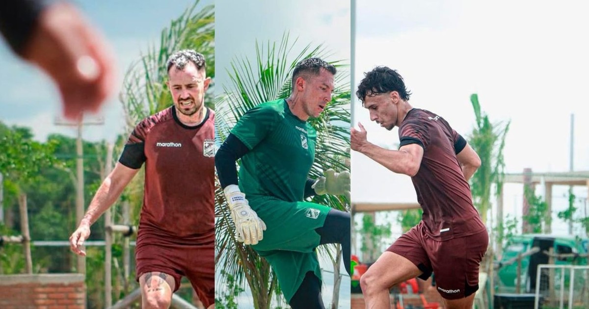 Amaral Peña y Torres trabajan en proyectos en Oriente y buscan talento paraguayo