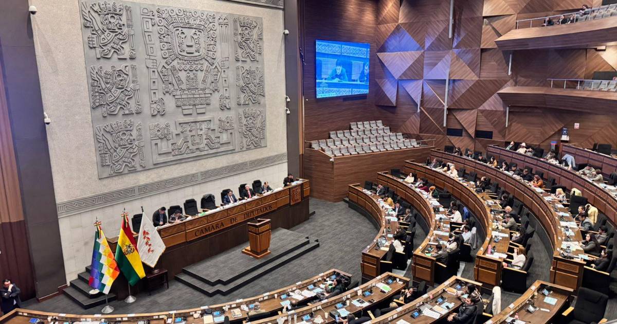 Cámara de Diputados posterga para el martes la designación de vocales electorales en La Paz Oruro y Potosí