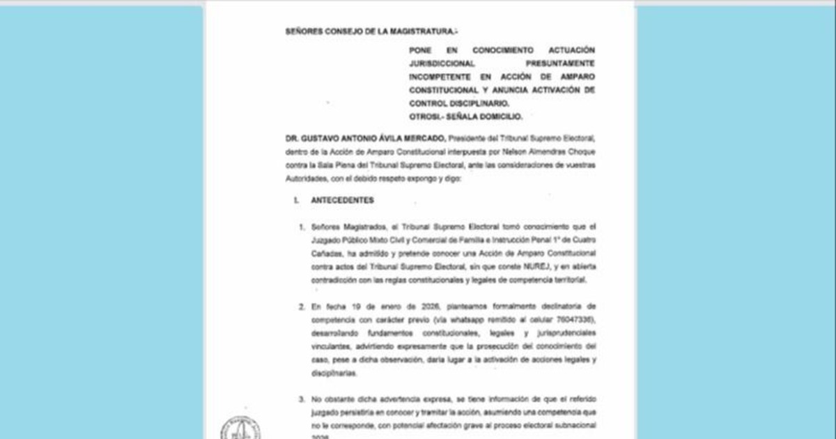 TSE denuncia en La Paz al juez que acepta acción sobre personería de ADN