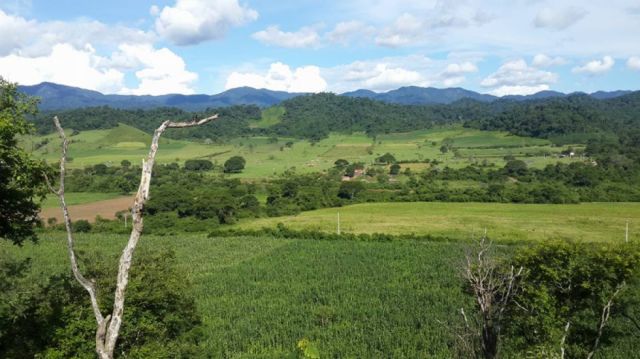 Denuncian en Tarija que Petrobras burla freno judicial en reserva de Tariquía