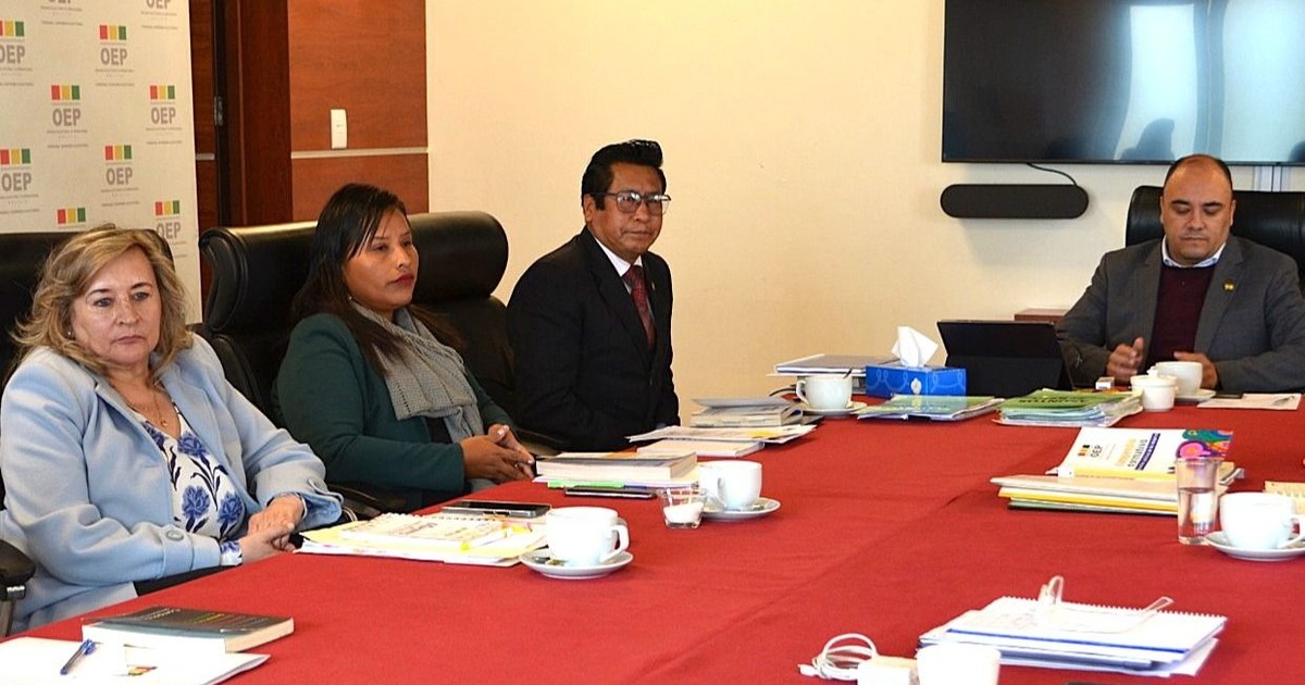 TSE ratifica decisión y deja sin elecciones subnacionales a tres organizaciones TSE ratifica decisión y deja sin elecciones subnacionales a tres organizaciones