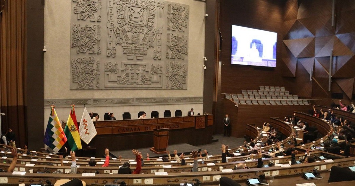 Parlamentario boliviano advierte que reducción de salarios impulsa fuga de cerebros legislativos