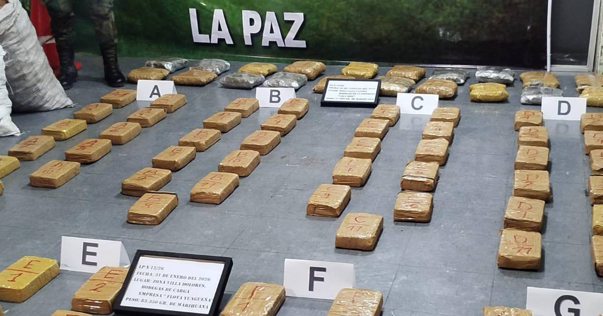 Policía de El Alto encuentra 101 paquetes de marihuana entre encomiendas de papa y ropa