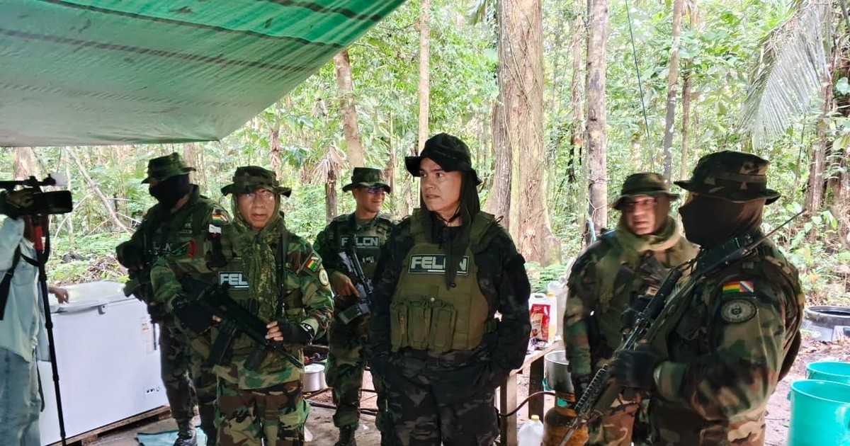 Autoridades desmantelan laboratorios que producían 600 kilos diarios en Villa Tunari