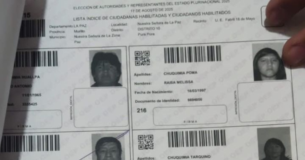 Ciudadanos inhabilitados remiten reclamos al Sereci nacional por elecciones subnacionales