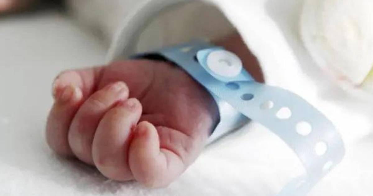 Hospital La Paz de La Paz confirma diagnóstico reservado de bebé con chikungunya congénito Hospital La Paz de La Paz confirma diagnóstico reservado de bebé con chikungunya congénito