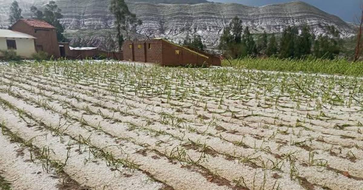 Vientos huracanados afectan a 13 municipios de Cochabamba y autoridades advierten riesgos