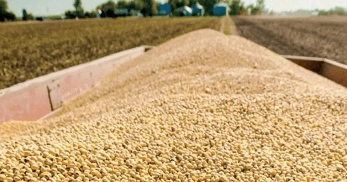 Gobierno aprueba arancel cero para importación de soya hasta diciembre 2024 Gobierno aprueba arancel cero para importación de soya hasta diciembre 2024
