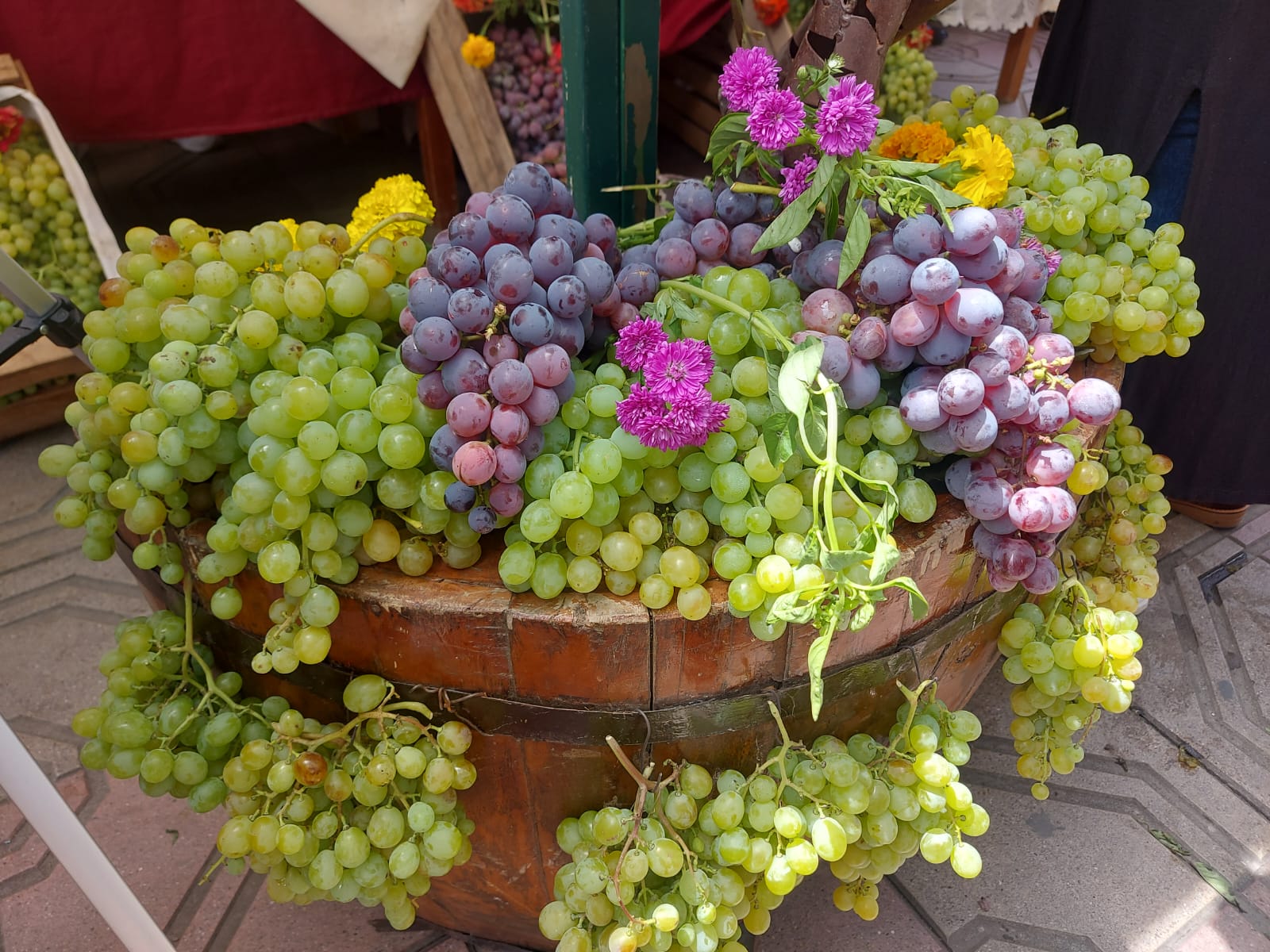 Productores de uva en Tarija venden 80 por ciento de la cosecha 2024