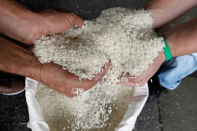 Arroceros bolivianos denuncian contrabando y piden al Gobierno revisar importaciones