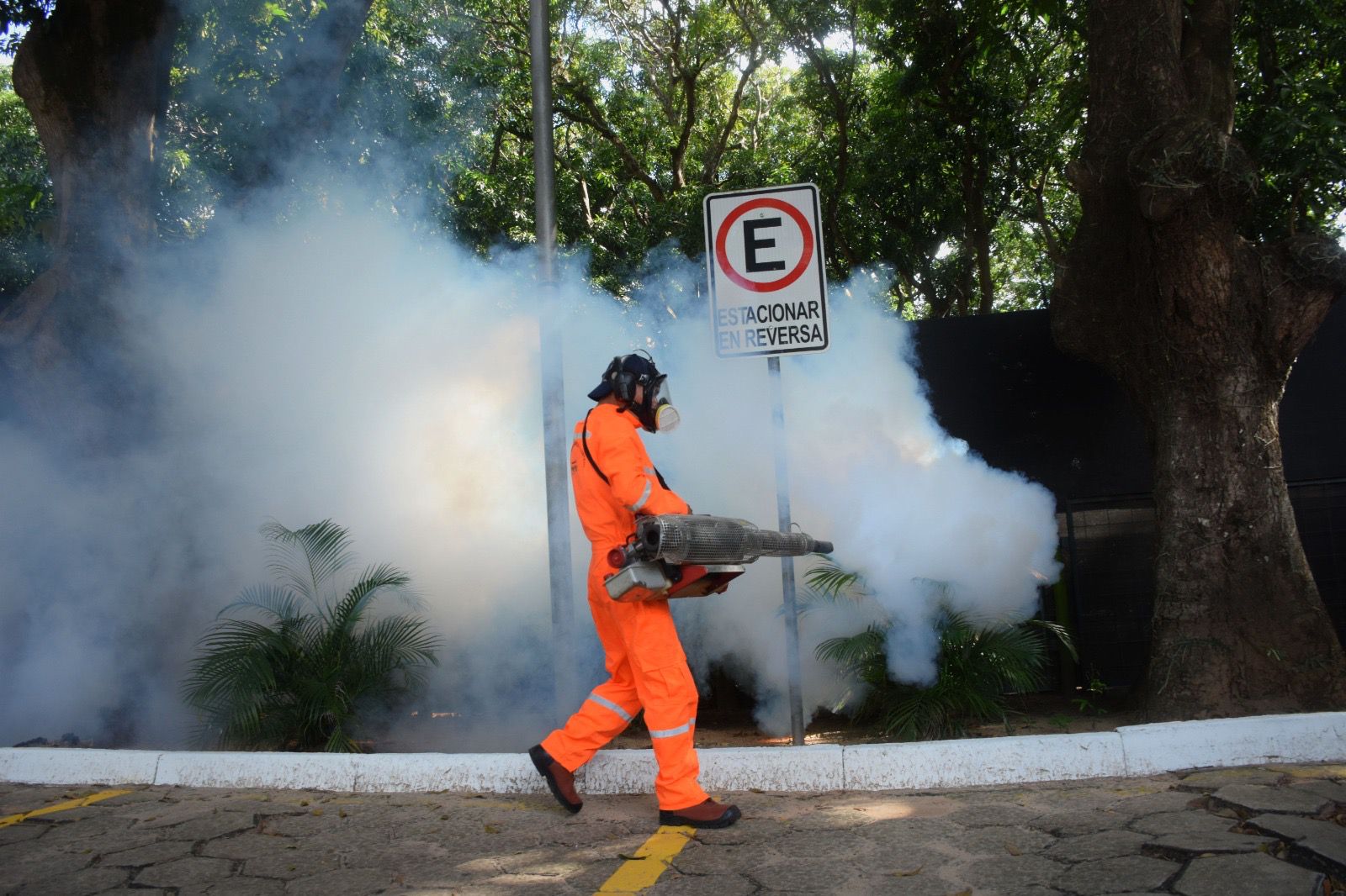 Tarija confirma 113 contagios de chikungunya y declara emergencia sanitaria