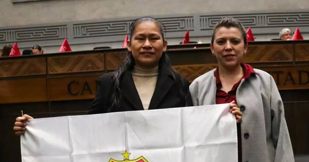 Aida Luz Tuchani jura como primera diputada con discapacidad visual en Bolivia