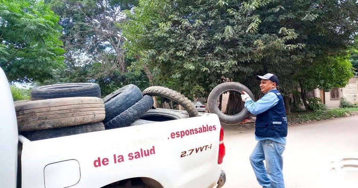 Sedes confirma 240 casos de chikungunya y muerte por hanta virus en Bolivia Sedes confirma 240 casos de chikungunya y muerte por hanta virus en Bolivia