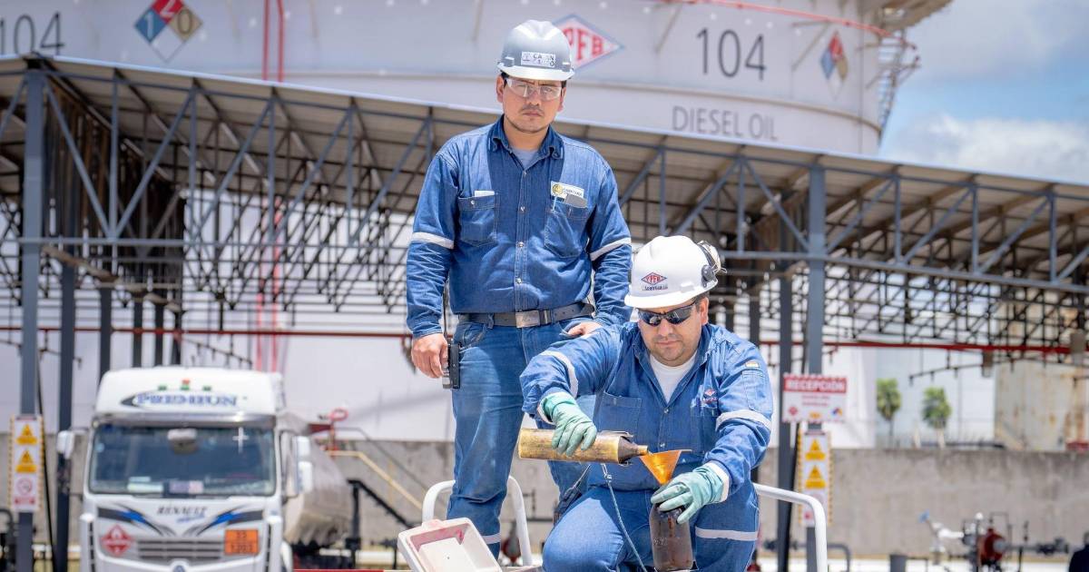 Paz confirma aplicación de aditivos en gasolina desde este martes sin subir precio Paz confirma aplicación de aditivos en gasolina desde este martes sin subir precio