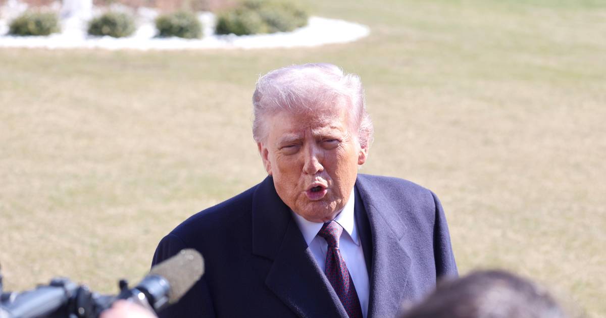 Presidentes de Bolivia Argentina Ecuador El Salvador y Honduras confirman asistencia a cumbre de Trump en Estados Unidos