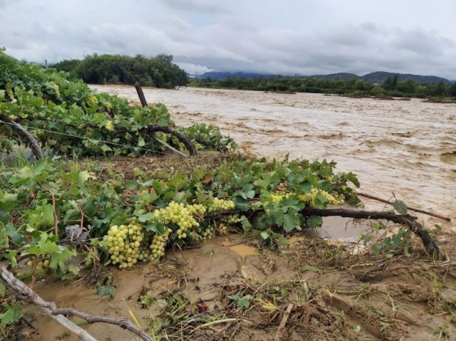Cuatro municipios de Tarija declaran emergencia por lluvias y daños en el agro