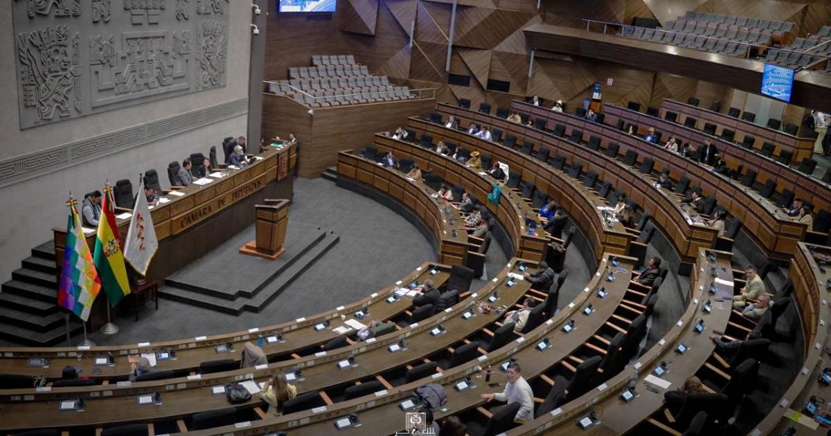 Diputados de Bolivia aprueban resolución que impulsa respuesta a interpelaciones e informes