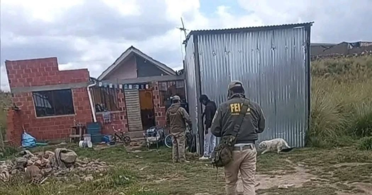 El Alto captura a mujer acusada de envenenar y herir a tres hijos menores