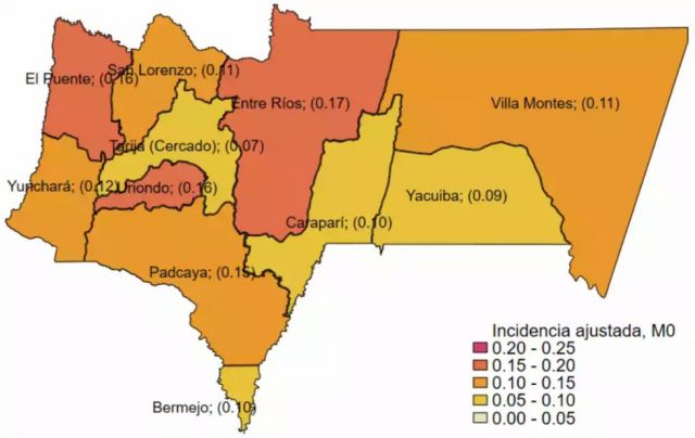 Tarija confirma candidaturas de todos los aspirantes a alcaldes en sus municipios Tarija confirma candidaturas de todos los aspirantes a alcaldes en sus municipios