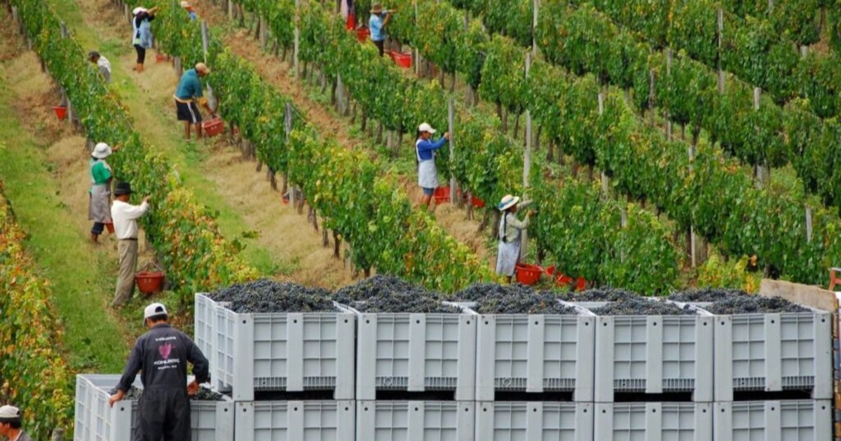 Bolivia impulsa adecuación de más de 2000 leyes al Mercosur antes de 2028 Bolivia impulsa adecuación de más de 2000 leyes al Mercosur antes de 2028