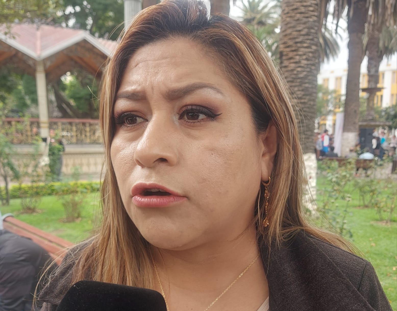 Diputada Marina Cachambi impulsa anular contratos en reserva de Tariquía