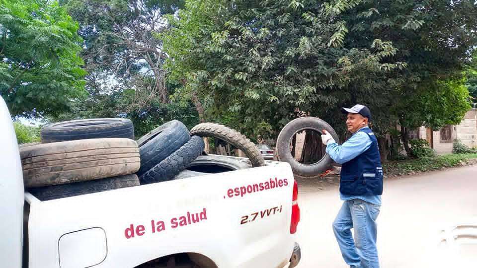 Sedes confirma 240 casos de chikungunya y muerte por hanta virus en Bolivia